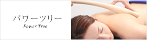 パワーツリー